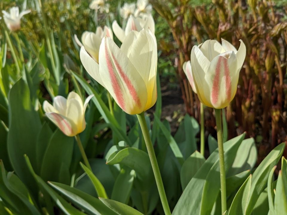 ���������� ��������: ������ ������ ���������, ������� ���������� ����� � �������