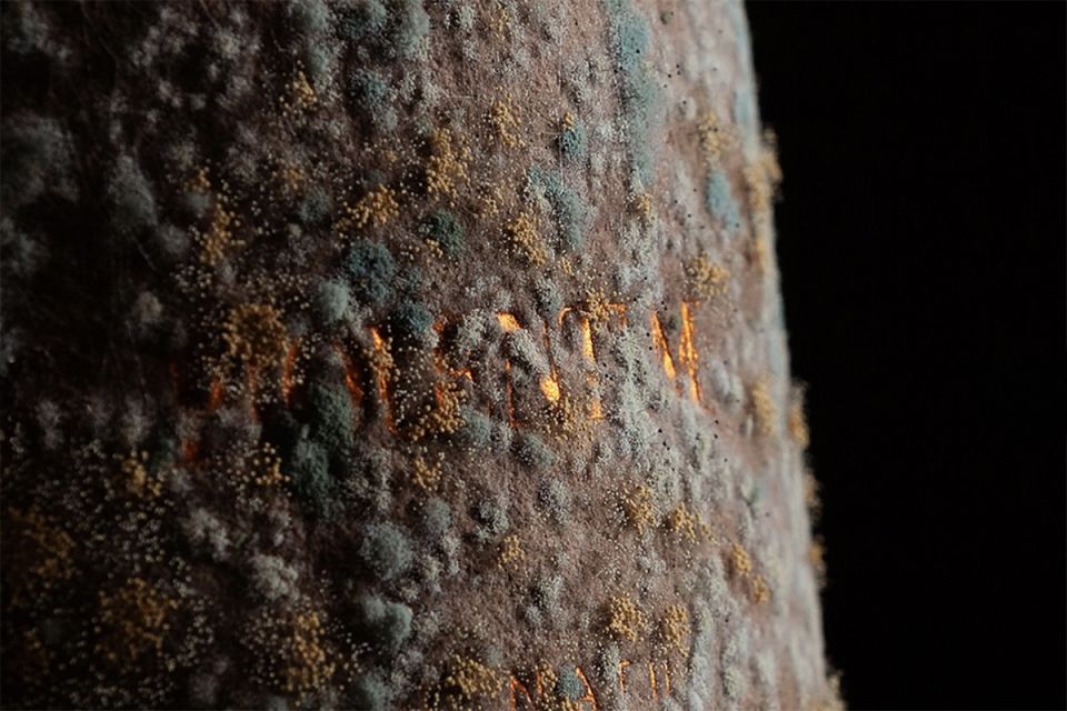 �������� ������������ ������ ����� �������� �� ����: ������� ��� ���������