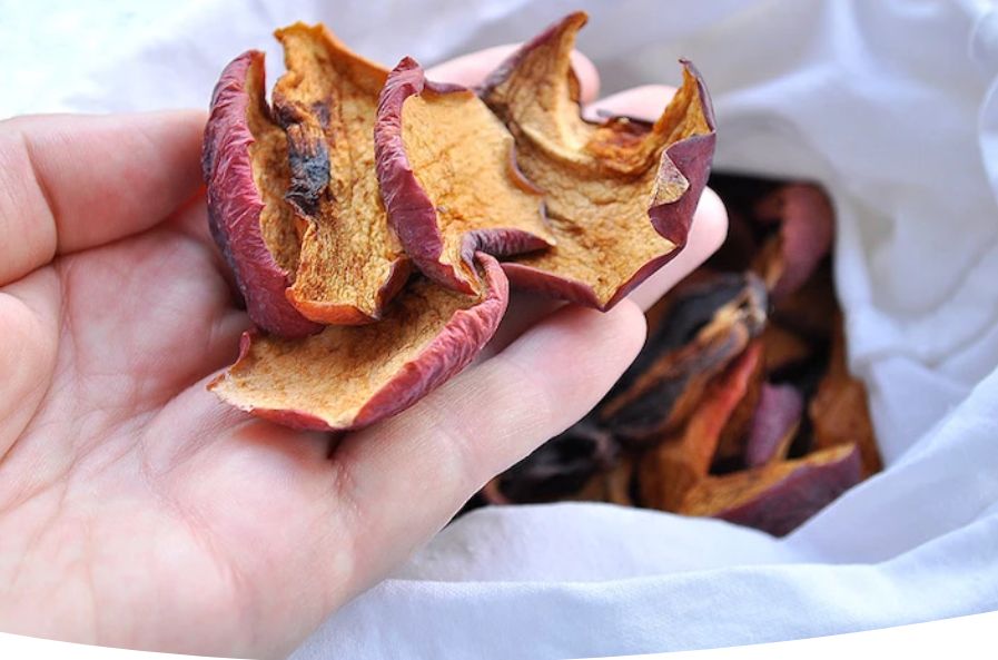 ����� ����� � �������: ������ � ��������