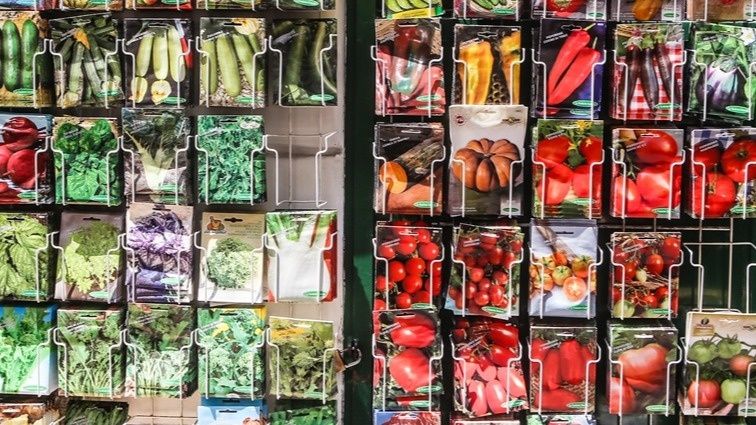 ��� �� ��������� �� ��������: ���� ������� �� ������� ����� �������� �������