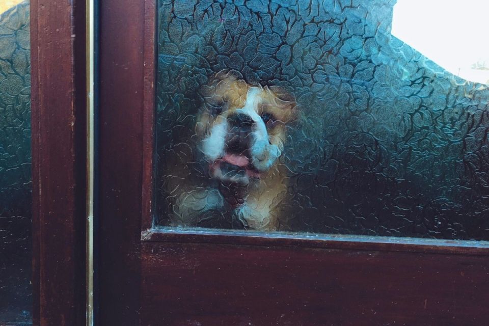 ��� ������� ���������� � ������� ������ � ��������� ��� ��������� ���