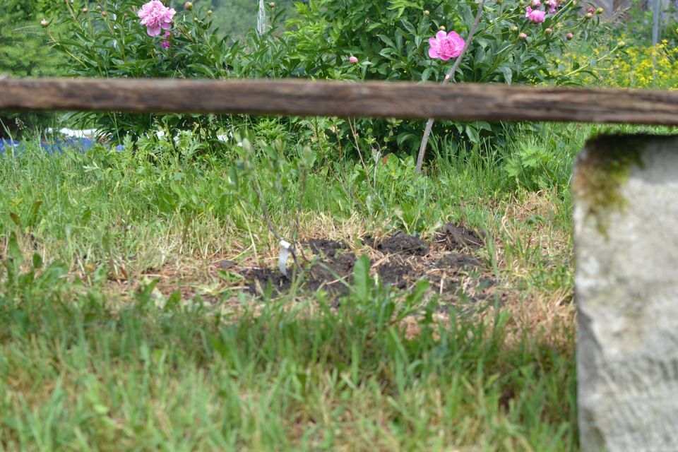 ��� ������� ��� � ���� � ������� �������: ������� �������� ��������