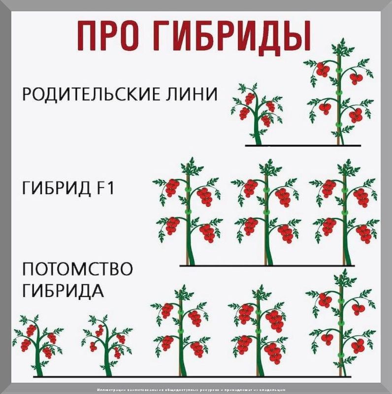 ���������� �������� � ������ ����� �� ����������