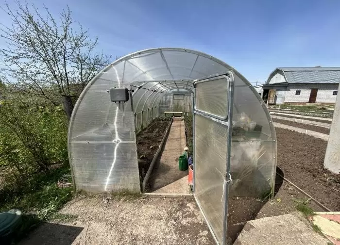 Снег в теплице: защитник почвы зимой