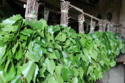 ׸���� ������� �����: ����� ������ �� ������ ��������