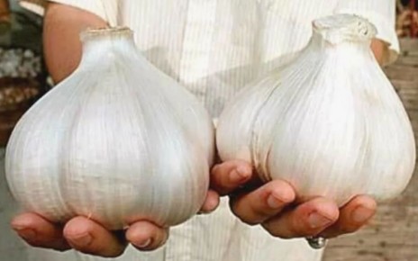 ��� �������� ���������� ������ �������: ������� � ������