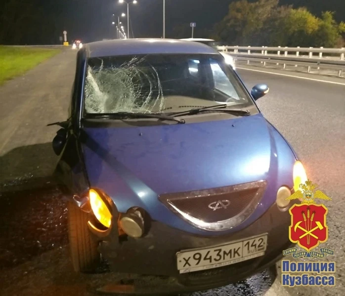 В Кемеровском округе вынесен приговор водителю, который на автомобиле насмерть сбил велосипедиста