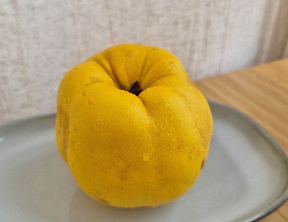 ����������� � ������� ������� ���