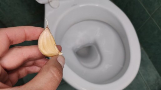 ������ � �������: ��������� ����� ������ � �����������