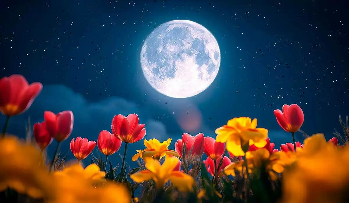 Майское полнолуние: как цветочная луна перевернет жизни знаков Зодиака