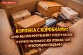Парадокс хранения: почему коробка с коробками стала частью нашей жизни