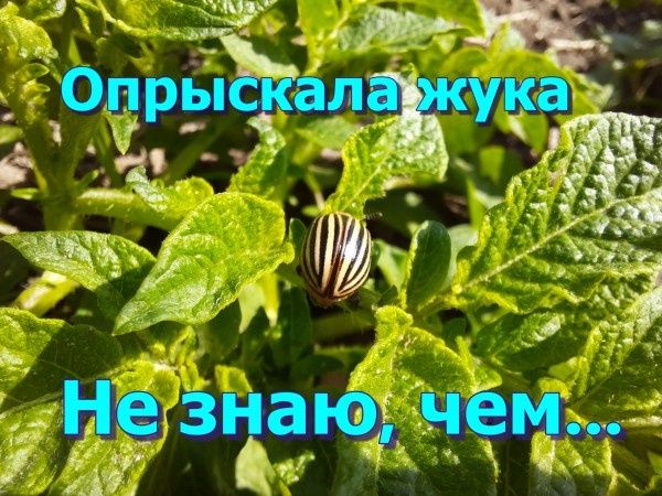 ��������� � ������������: ��� ����� ����� ������� ��������