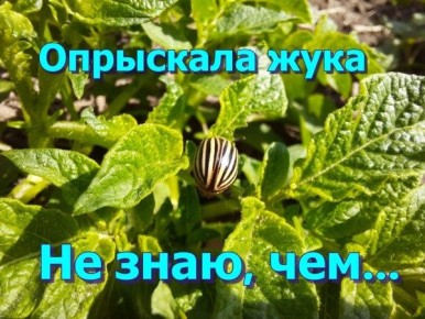 ��������� � ������������: ��� ����� ����� ������� ��������