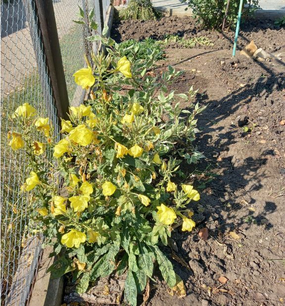 ��������� ����� ��� ������ ����: �������� �� � ����