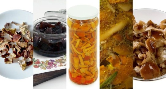 ��� ��������� ������ ������������: ������������ ������� ��������� ������ �� ����