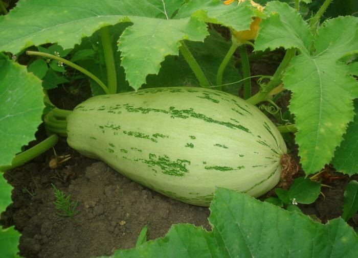 ��� ���������� ������� � ���� � ������� ��������� ������