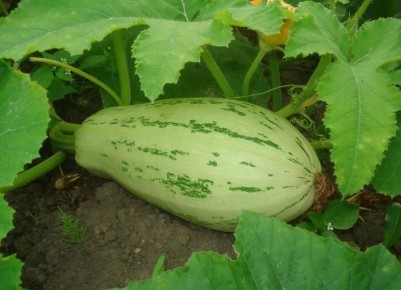 ��� ���������� ������� � ���� � ������� ��������� ������