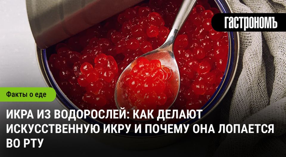 ������������� ����: ��� ��������� ������������ � ��������� � �������� "�������"