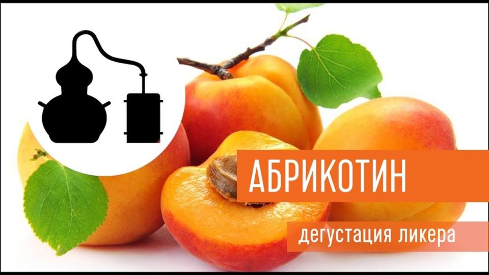 ��������� ����� �����������: ������� ���� ����