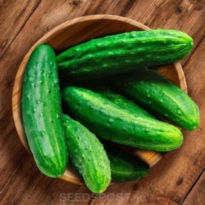 ������ ���������: ���������� ���� ��� ������� �������