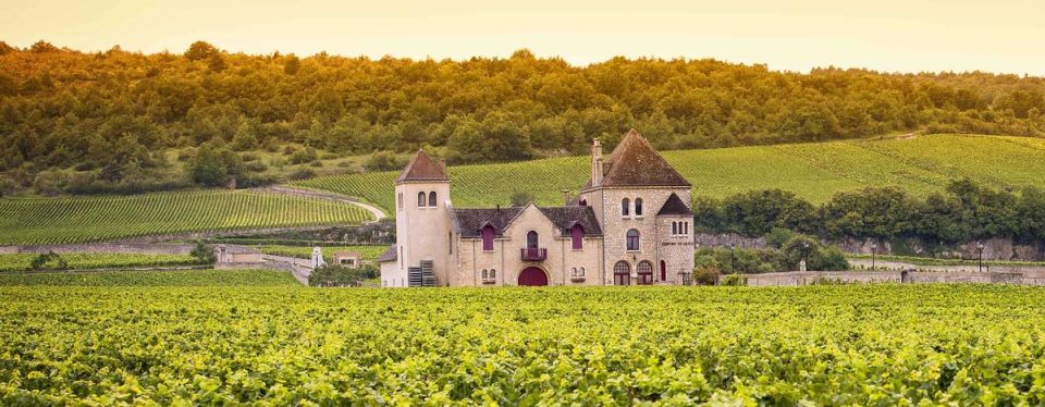 ���� �����: ��������������� �������� ����������� ������������