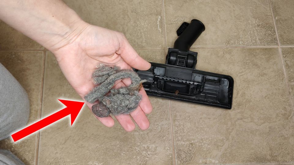 ����������� �����: ����, ������� ������� ������ ��������