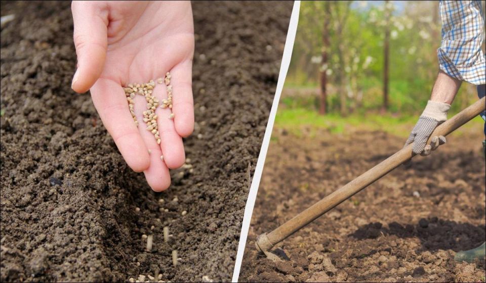 ������ ������� �� �������: 10 ����������� ������� ��� ������� ������