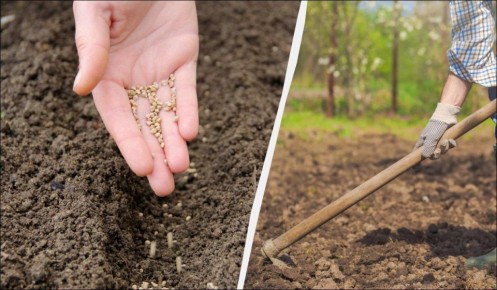 ������ ������� �� �������: 10 ����������� ������� ��� ������� ������