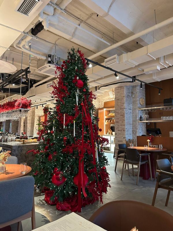 ������� � ���� Ava Bistro: ���, ������ � ��������� ����������������