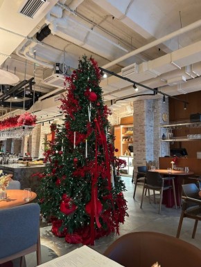 ������� � ���� Ava Bistro: ���, ������ � ��������� ����������������