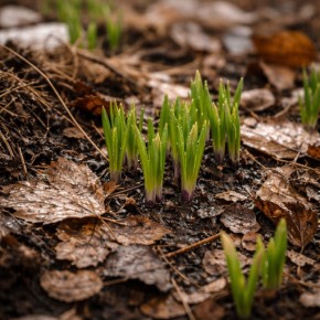 ��� ���������� ������ ����� ����� ������� ��������� �����������