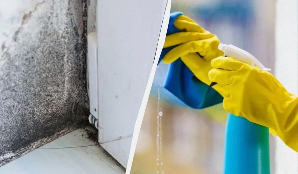 ������� ������ � ��������: ��� �������� ����������� � ��������� ���������