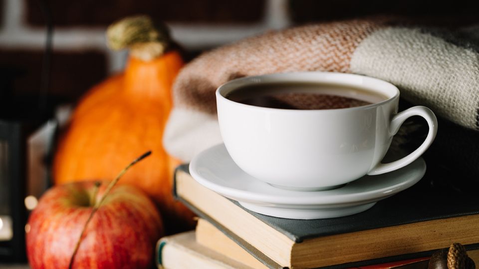 �������� ������������: 8 ���������� �������� ��� �������������