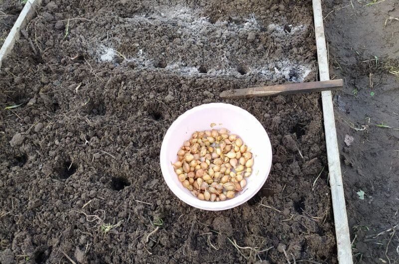 ��� ��������� � ����� ��� ������� �������: ������� ��� �������� ������