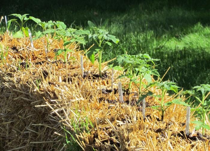 ����������� �������� �� ���������� �����: ��� ����� �����