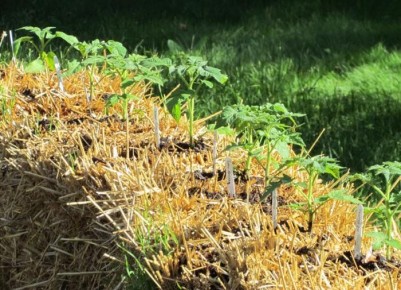 ����������� �������� �� ���������� �����: ��� ����� �����