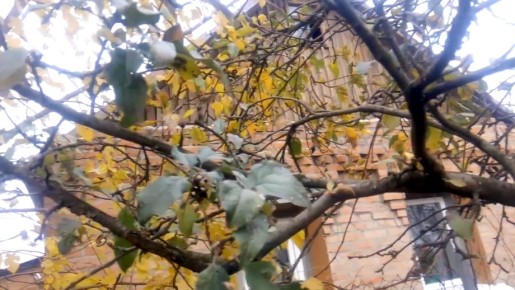 ��� ������� ������ � ������� ������ ������ � ��������� ��� � ��� ����