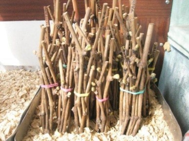 �� ������ ������ � ����� ������: ��������� �������� ���������