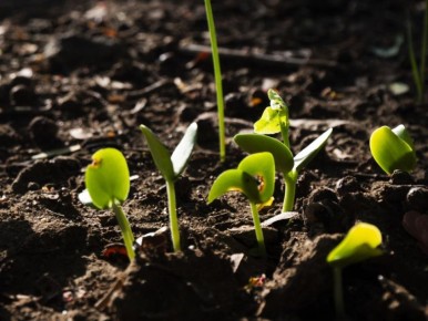 ���������� ����� ������ � ����� �������� �������