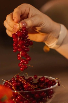 ��� ������� ��������� ������� ��� ������ ����: ������� ��������� ������