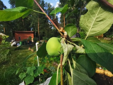 �������� ������ ���������: ��� �������� ������ � ���������� � ����������