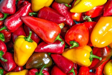 ��� �������������� � �������� ����� ����� ��� �������� ������