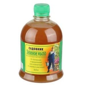 ��������� ��� ��������� ��������: ��� ������� � ��������� ������������