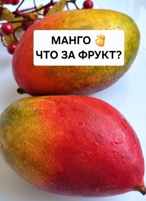 �����: �����-������ � ������� �������� � ������������ ����������