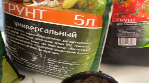 ��� ������� �������� �������� ������� ��������� ��������� ����� ��� ������ ������