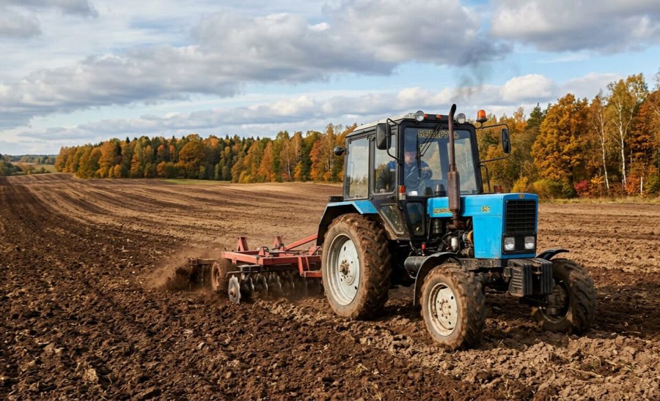 Картофелеводство в Брестской области: старт посевной кампании 2026 года