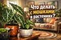 ��� �������� ����� � ��������� ������� � ������������ �������