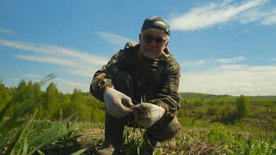 Секреты богатых всходов и борьба с сорняками в новом выпуске программы «Вперёд, товарищи! На дачу!»: Секреты богатых всходов и борьба с сорняками в новом выпуске программы «Вперёд, товарищи! На дачу!»: