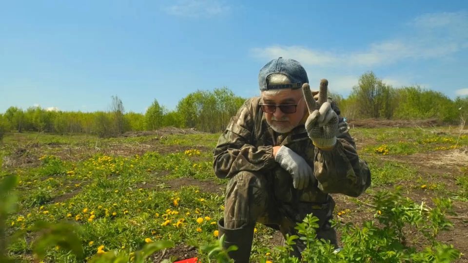 Секреты богатых всходов и борьба с сорняками в новом выпуске программы «Вперёд, товарищи! На дачу!»: Секреты богатых всходов и борьба с сорняками в новом выпуске программы «Вперёд, товарищи! На дачу!»: