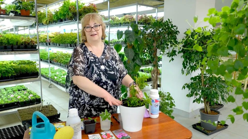 Секреты богатых всходов и борьба с сорняками в новом выпуске программы «Вперёд, товарищи! На дачу!»: Секреты богатых всходов и борьба с сорняками в новом выпуске программы «Вперёд, товарищи! На дачу!»: